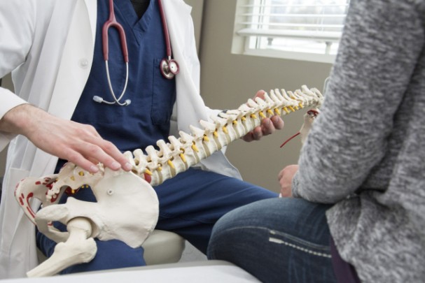 A chiropractor shows a patient a spinal injury